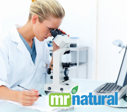 mr natural mold testing analytical lab vancouver