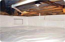 crawl-space-dirt-floor-mould-after