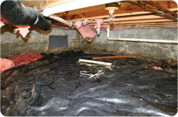 crawl-space-dirt-floor-mould-before