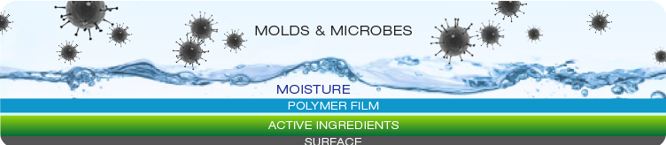 Mold Spores and Microbes, Moisture, Polymer Film, Active Mold Removing Ingredients and Surface