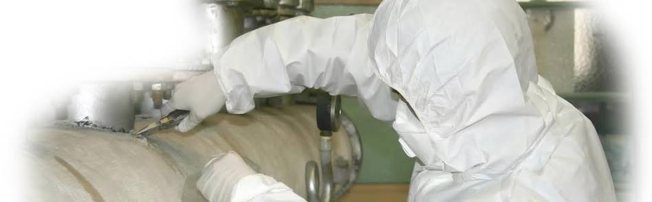 Asbestos-Testing-bulk-sample-TEM